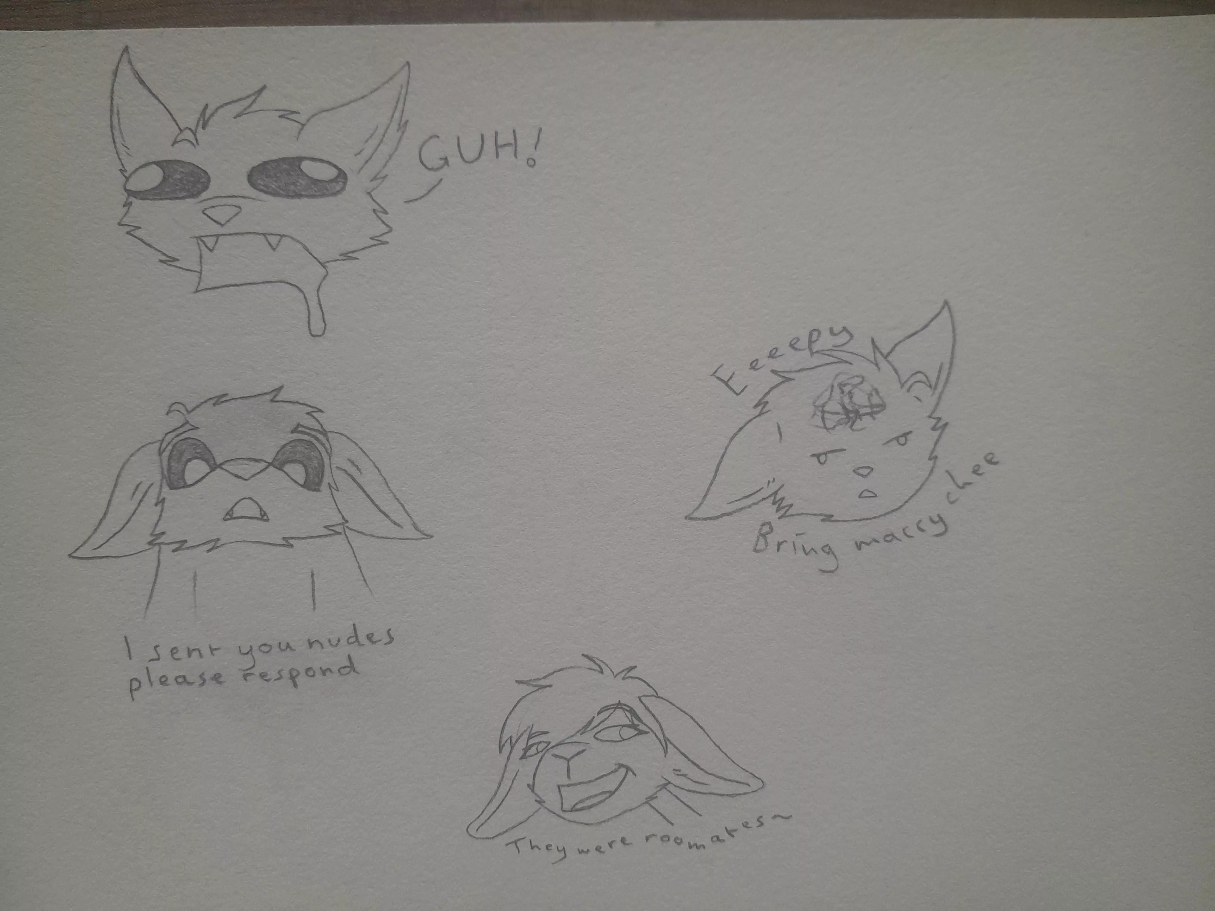 Dumb memes and stuff