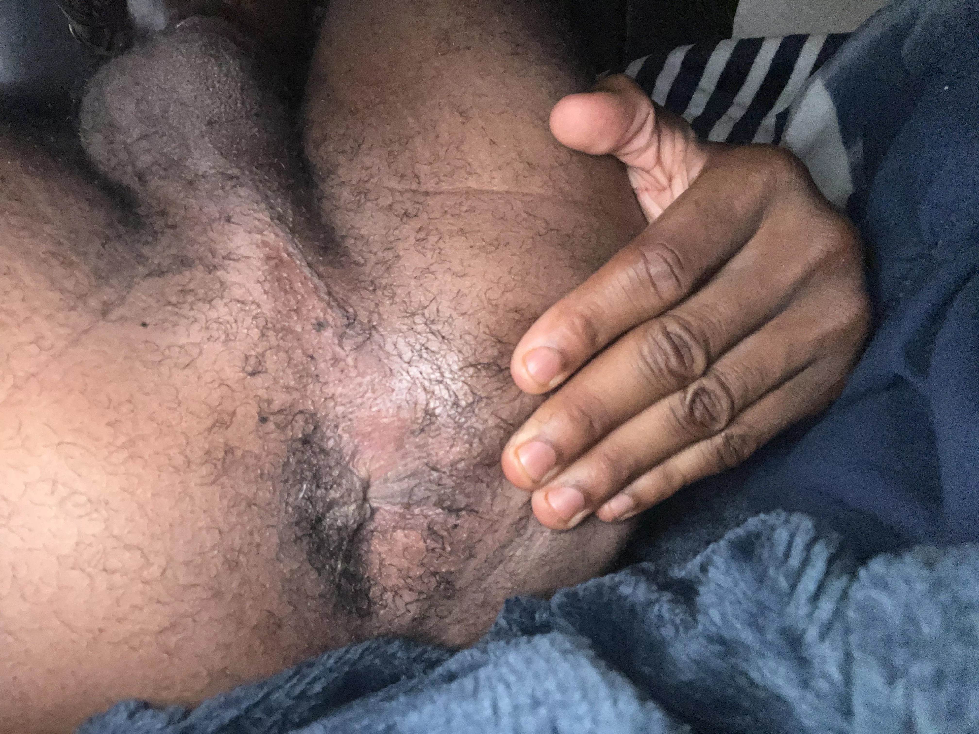 Eat my hairy ass out