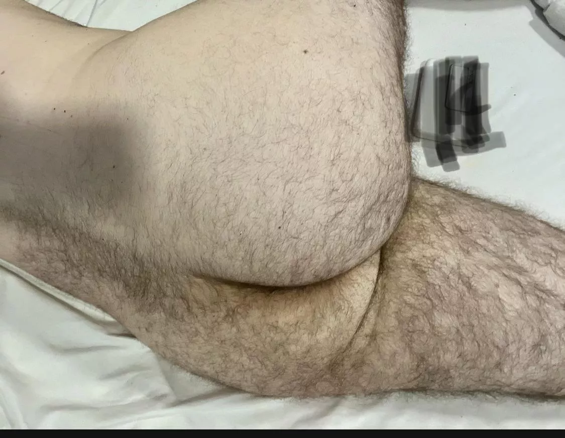 Hairy or shaved ass ?
