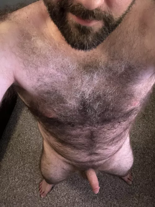 I hope you like the view [41]