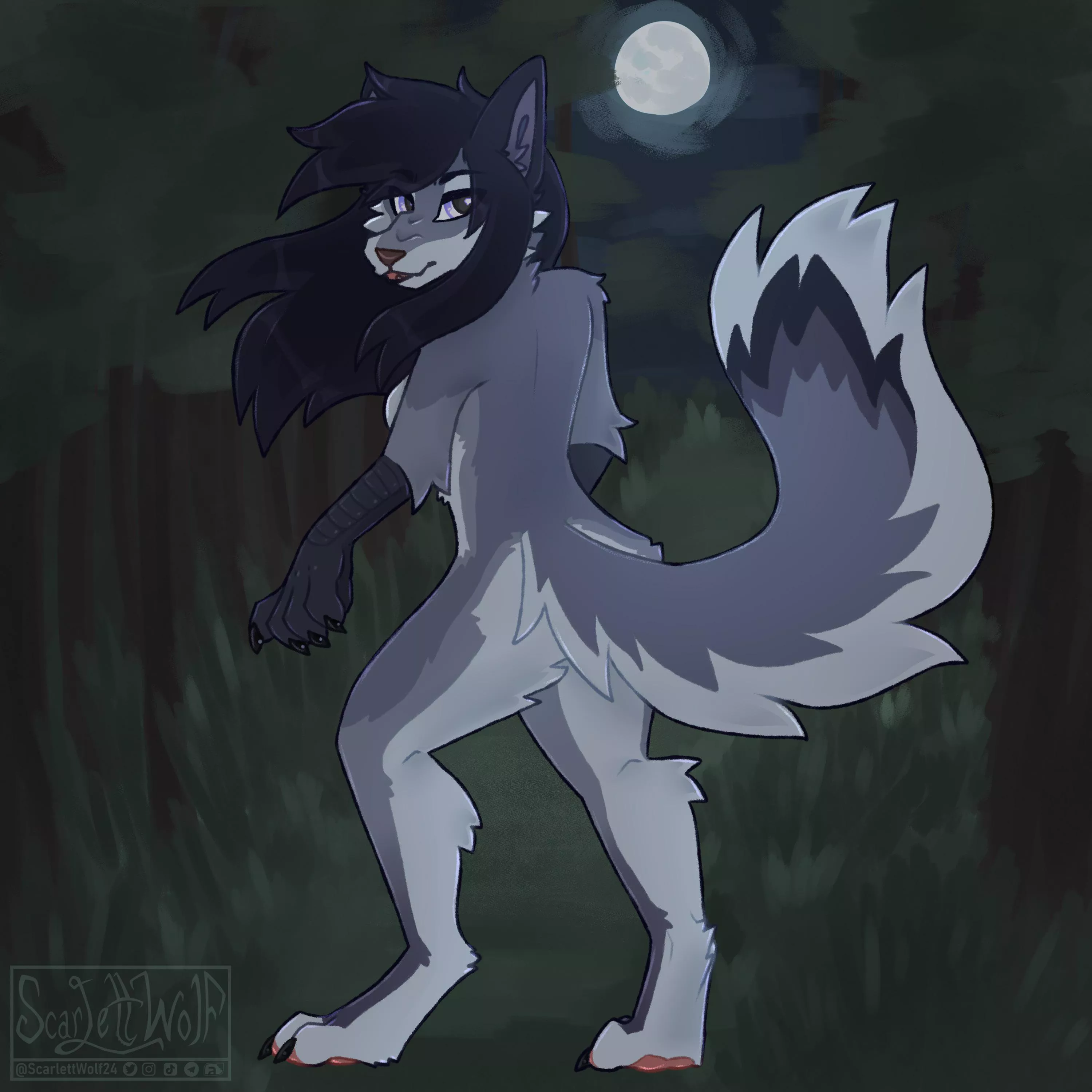 Moonlit Woods 🐺🌕💙(@ScarlettWolf24)