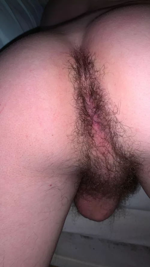 Still waiting to be cuddled please🙄