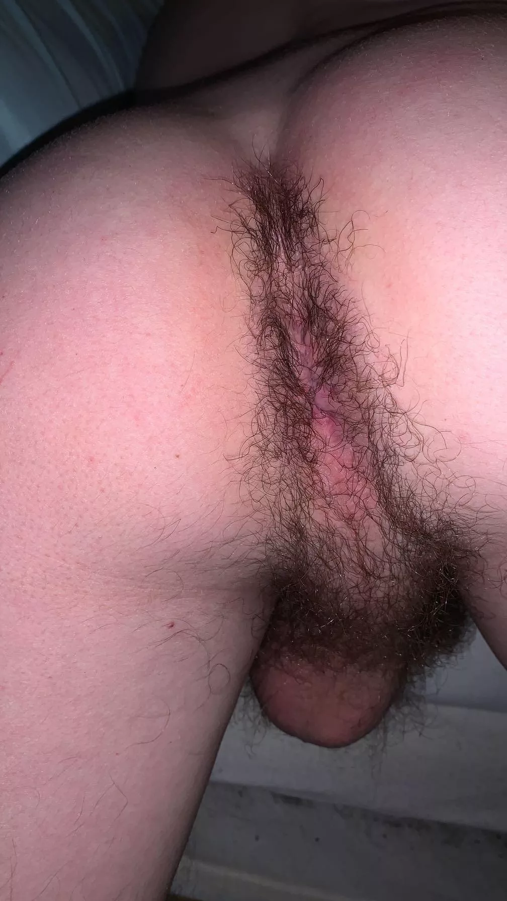 Still waiting to be cuddled please🙄