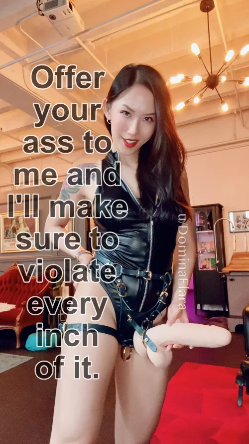 Would you offer your ass?