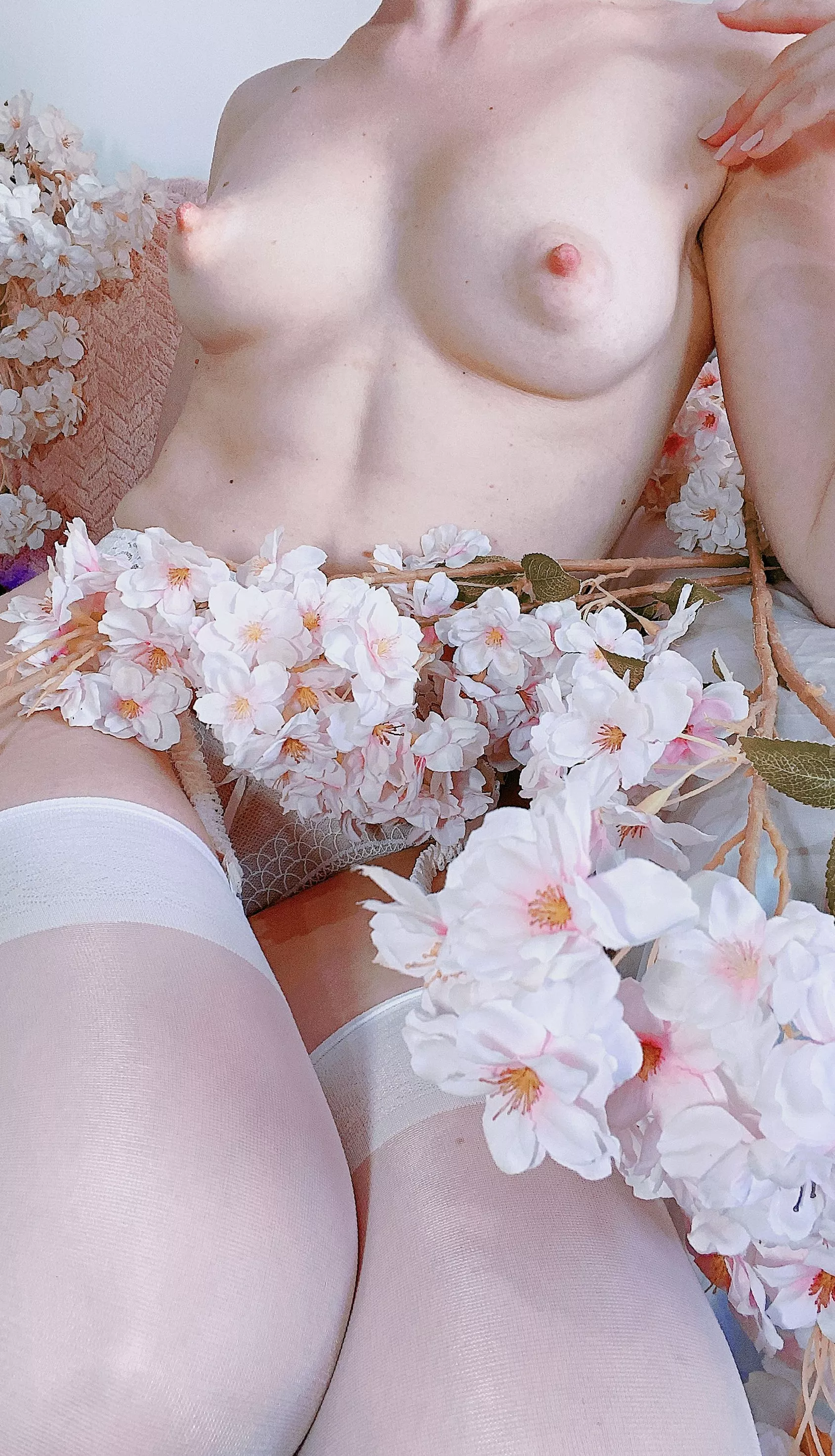 you can enjoy my beautiful tits today