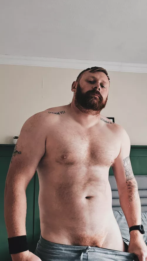 [36] ginger bears are hot too right?