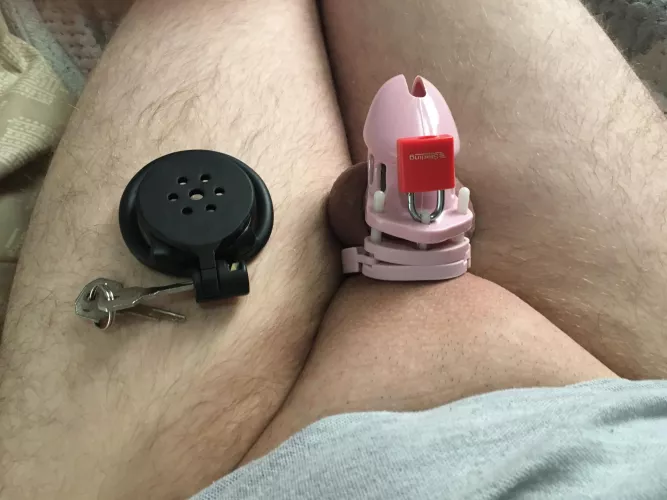 All locked up which one do you think would look better