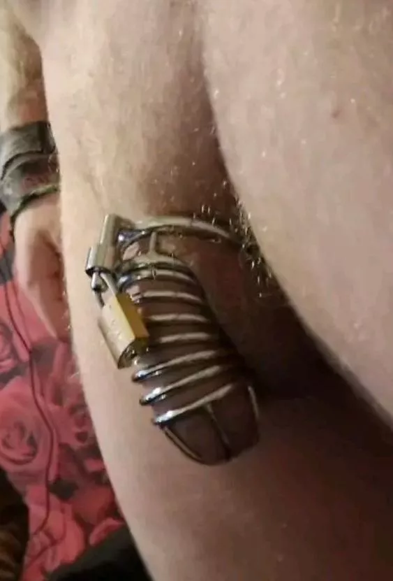 Been locked for a week and ordered to stay locked another week