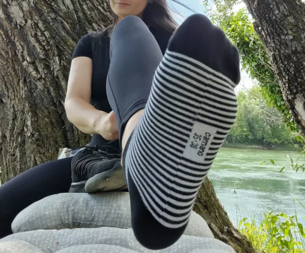 Here is your reward. Sniff after a long walk