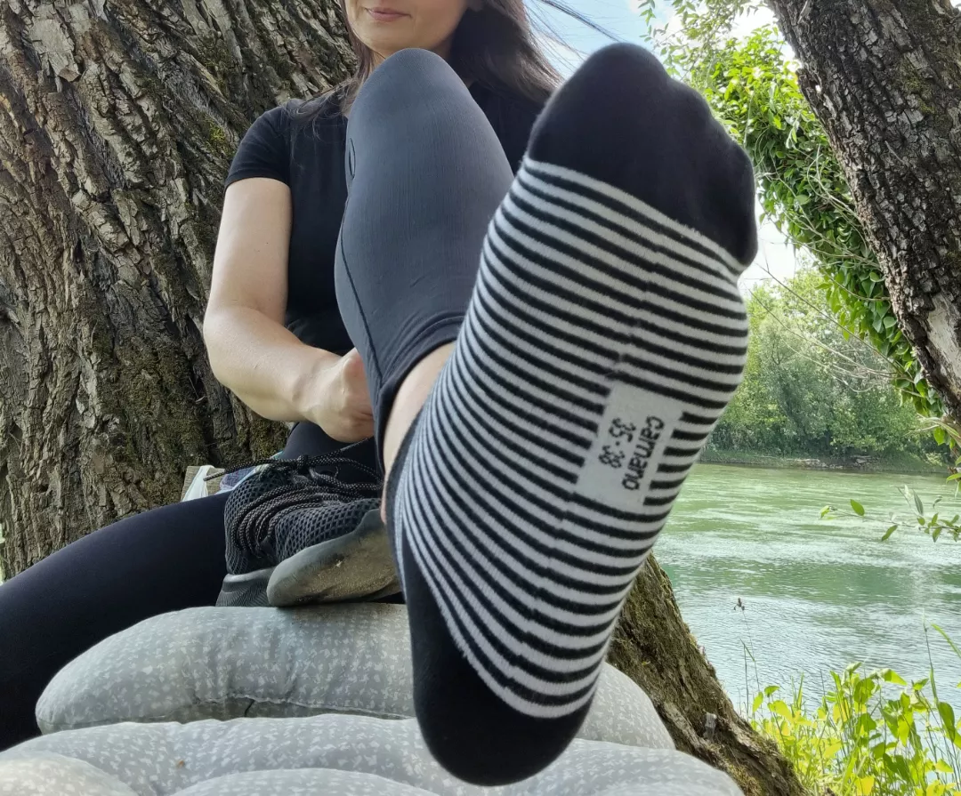 Here is your reward. Sniff after a long walk