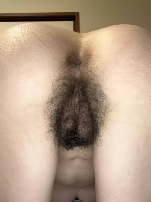 I posted this hairy pics in other sub but they didn’t enjoy lol so I hope you do