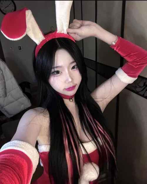korean christmas bunny