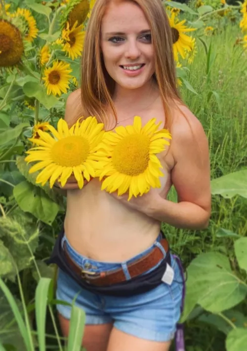 My sunflowers keep me from getting too wild