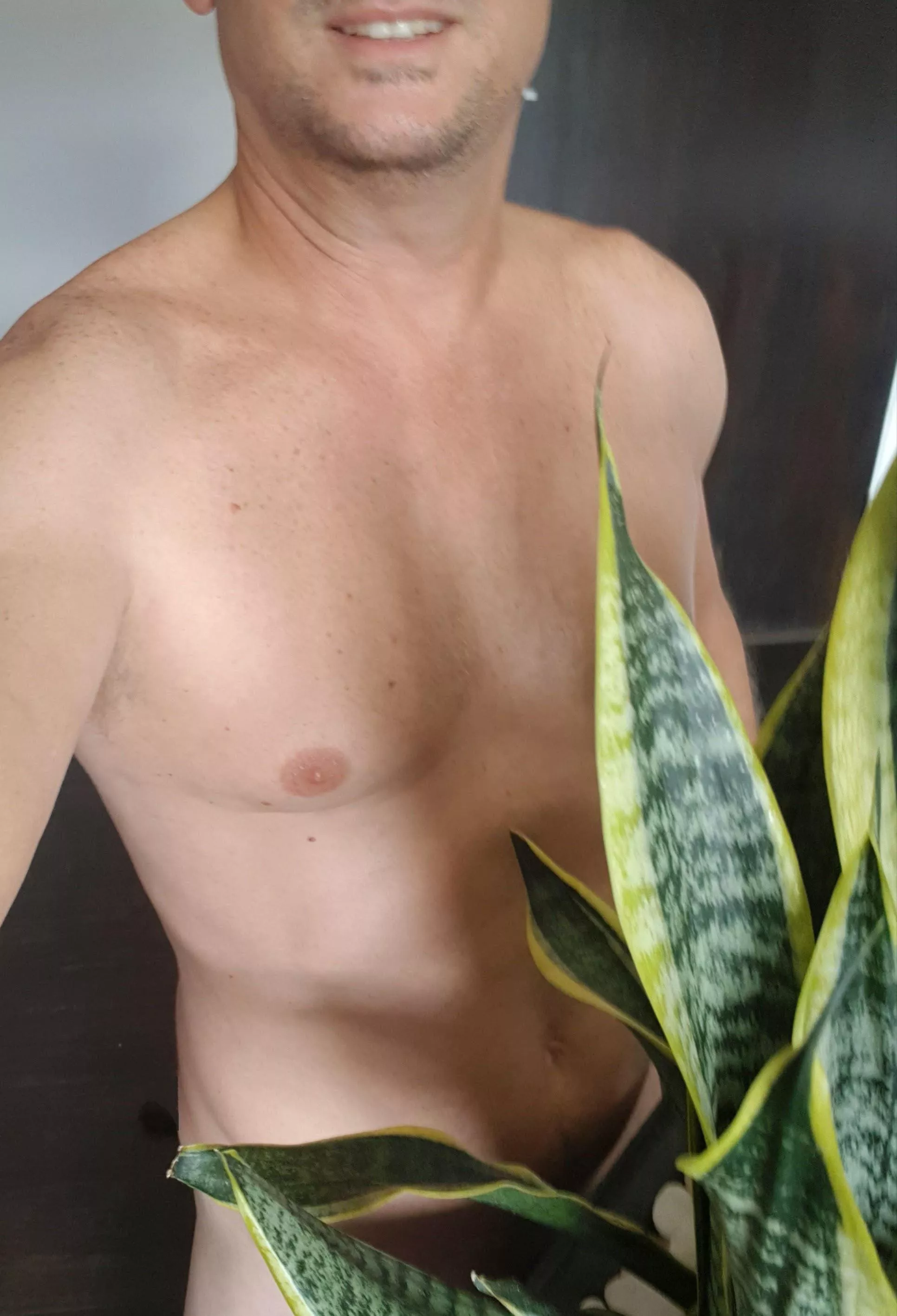 Needs a new home. Easy-care. Low-maintenance 🪴