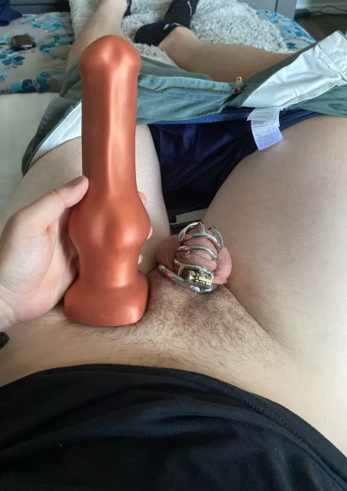 Who wants to see this go in my ass?