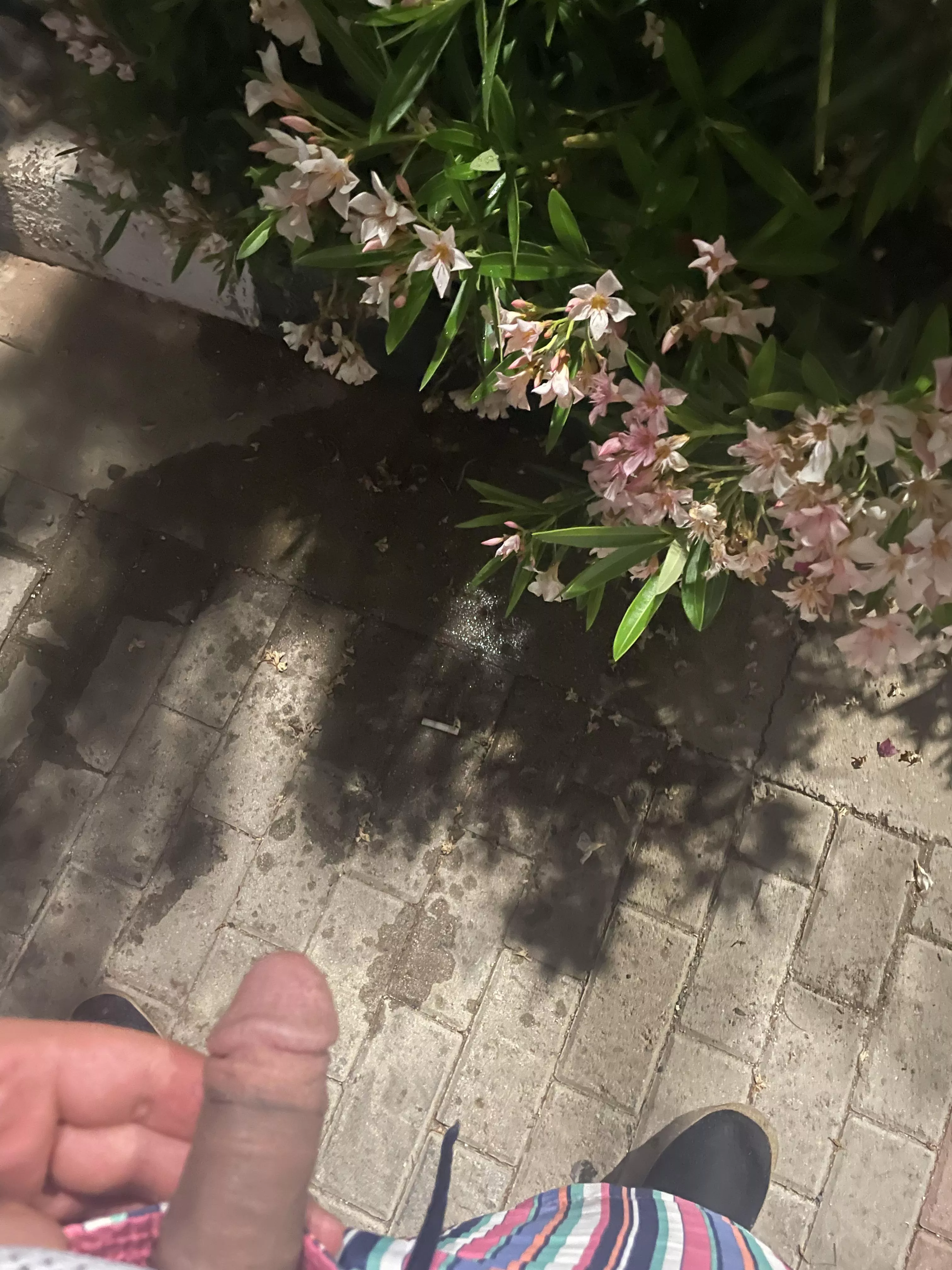 Any love for grower arbaic guy, it gets up to 8 inches when fully hard, specially when i am cuming, it can get up to 9 inches🥵