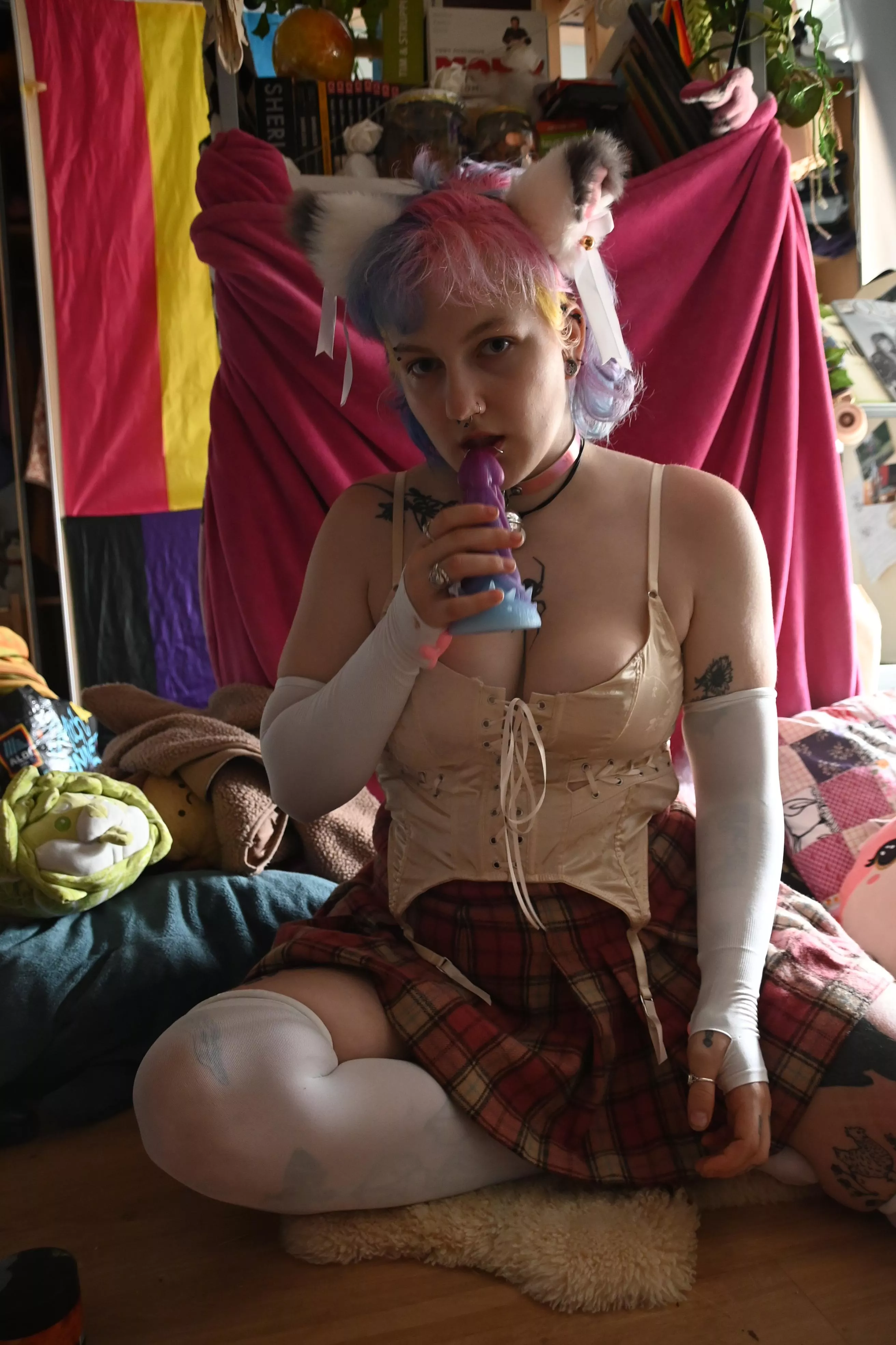 Guess where my Dildo was before hehe