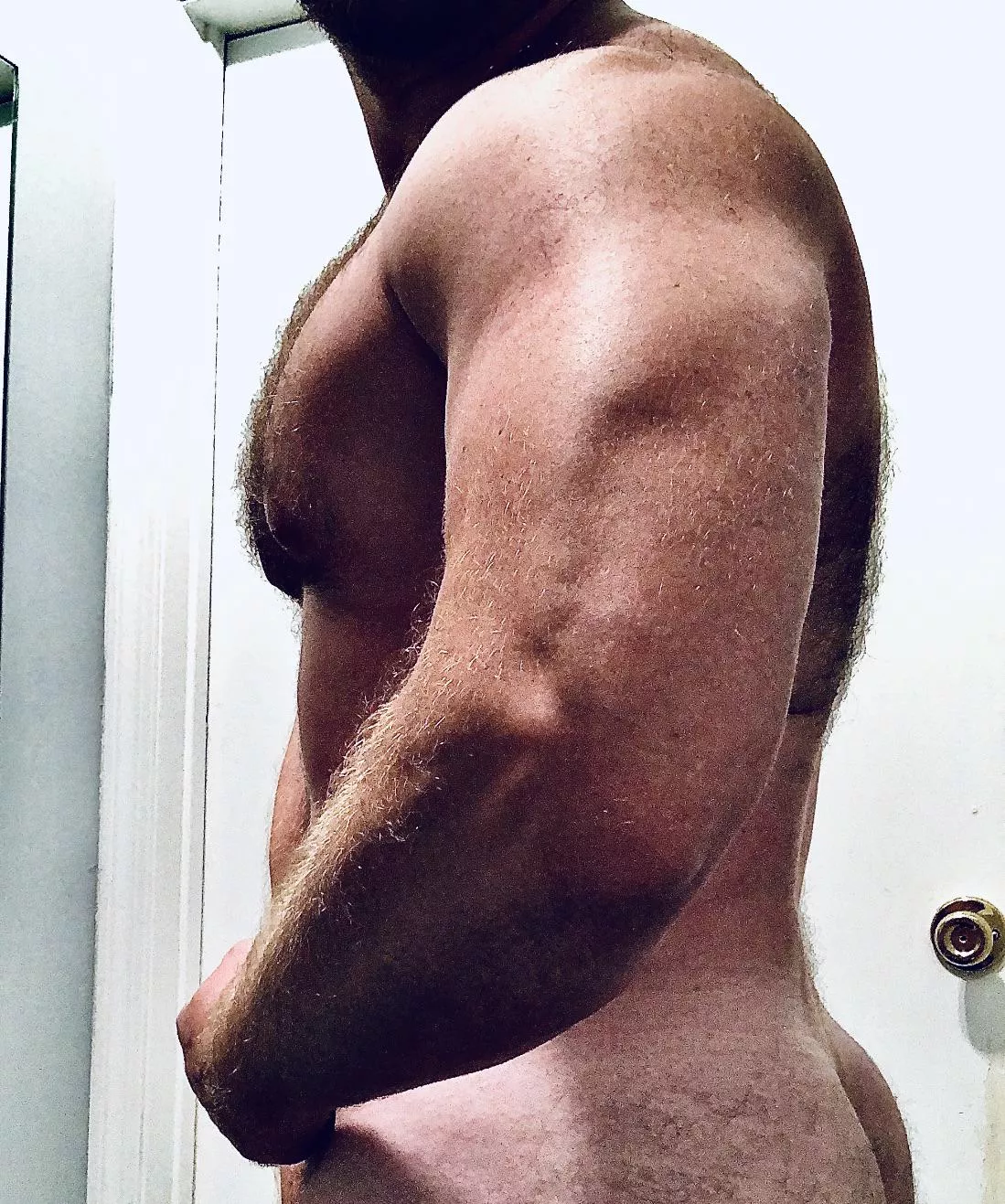 The back matches the chest