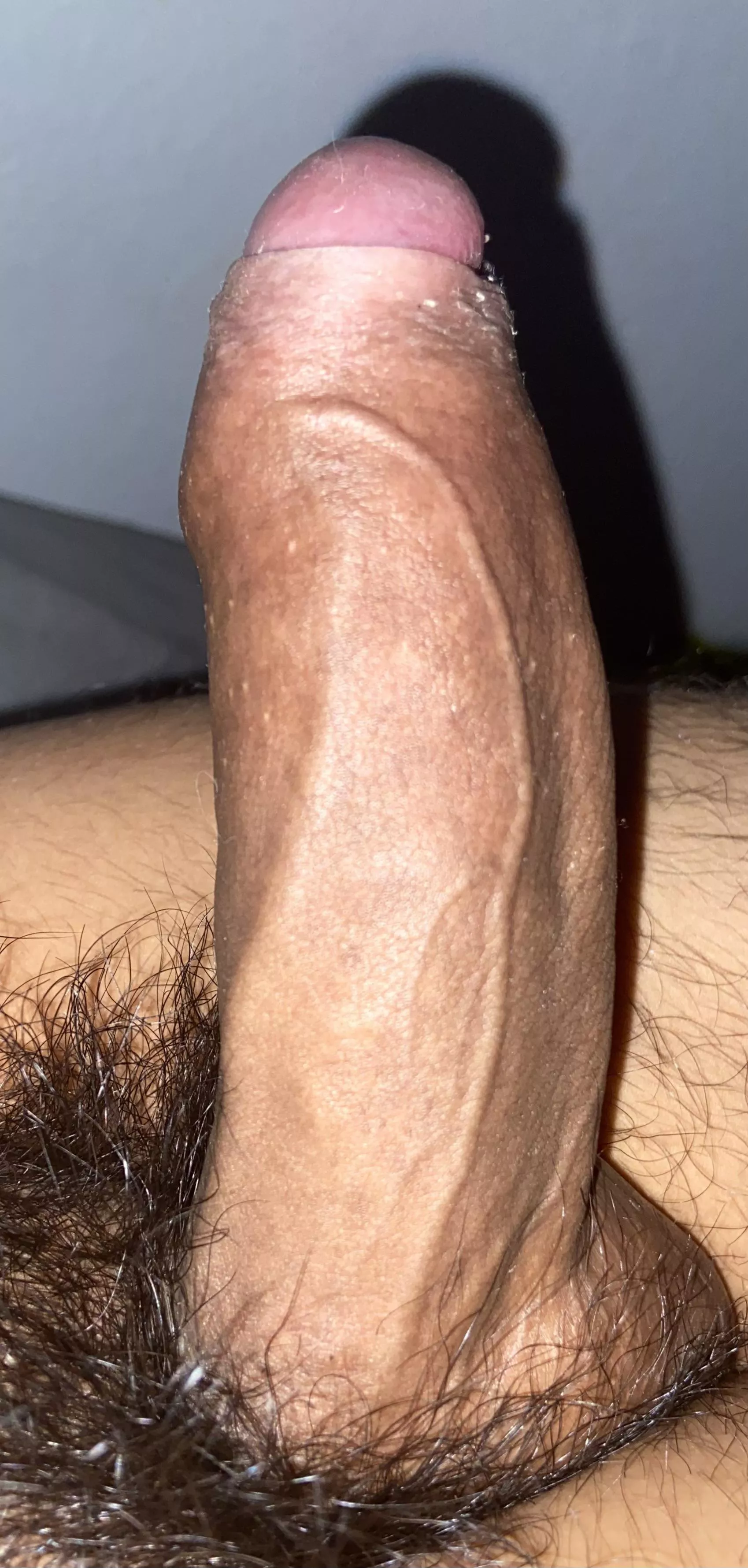 19 Any wife/gf wanna help me get harder