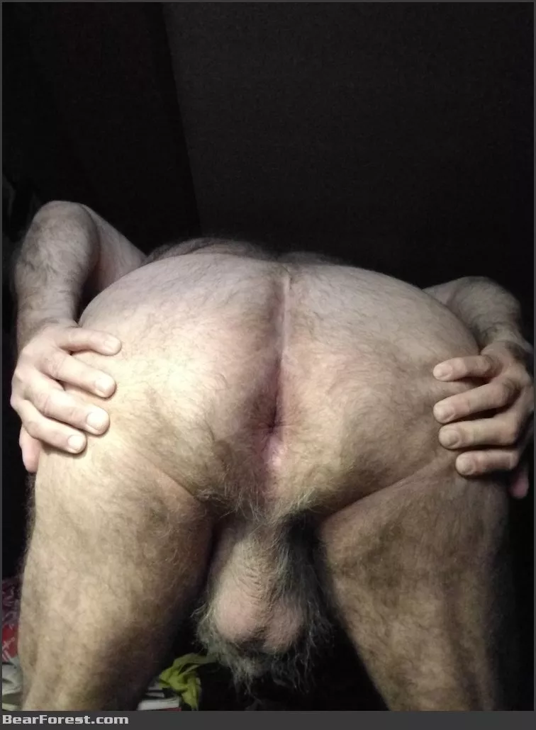 Anyone up for a hairy grandpa ass?