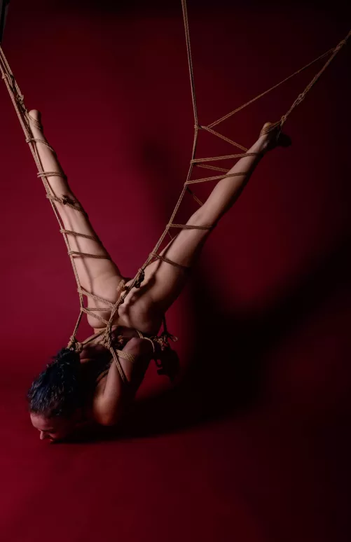 [F] suspended and exposed