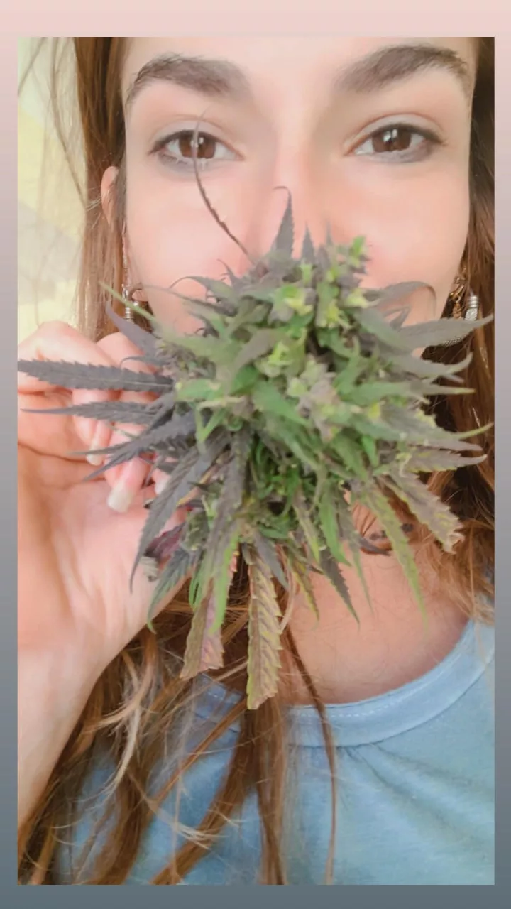 Let's smoke a little of what nature gives us