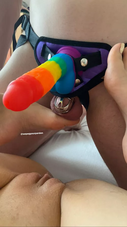 Little locked up cocks deserved to be teased