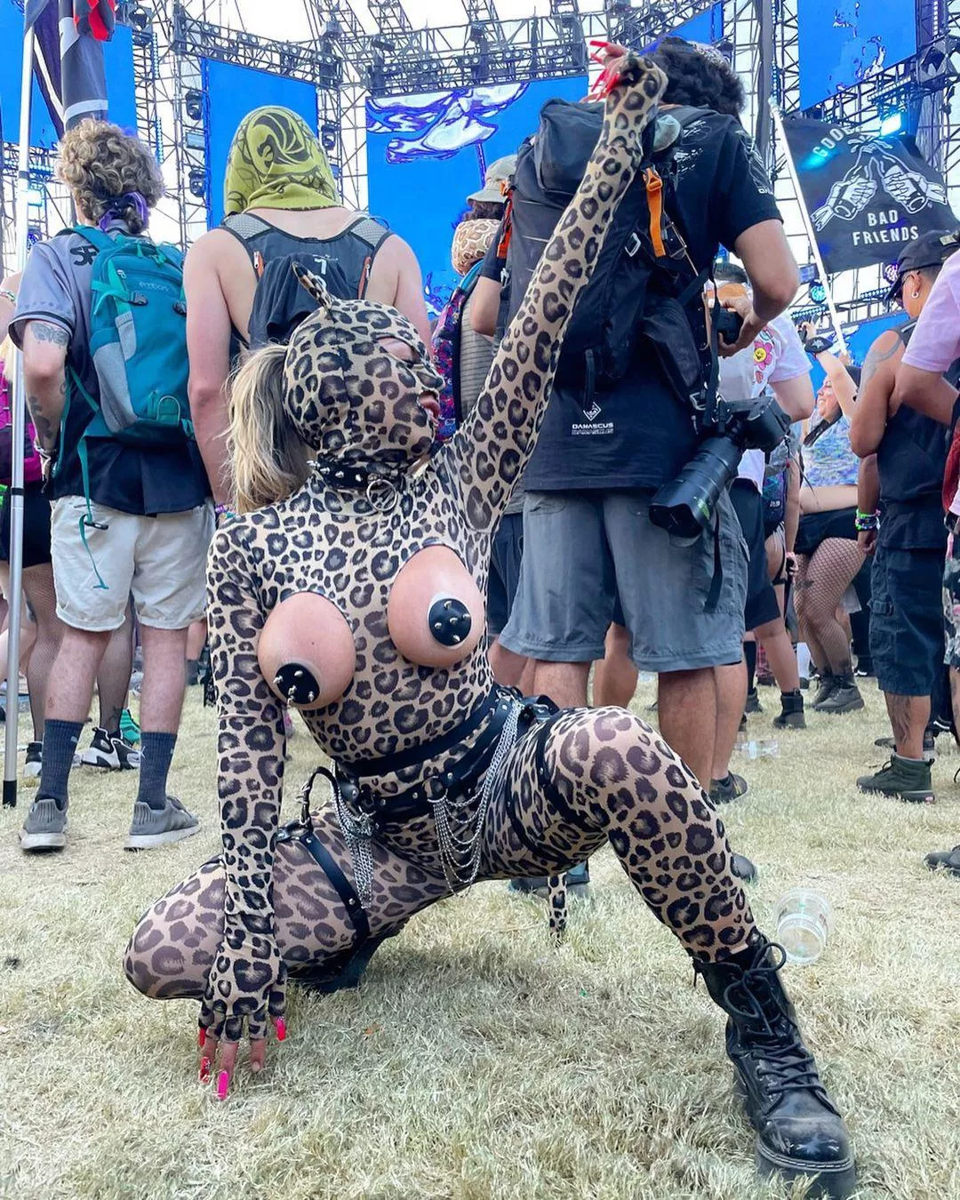 Nocturnal wonderland