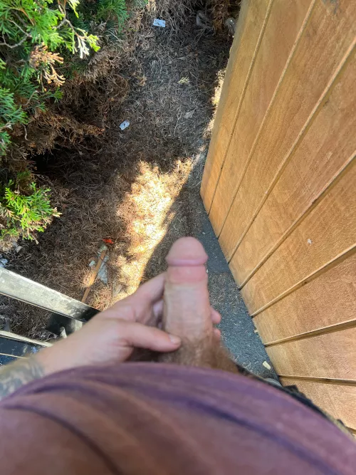 Outside at work with my dick out