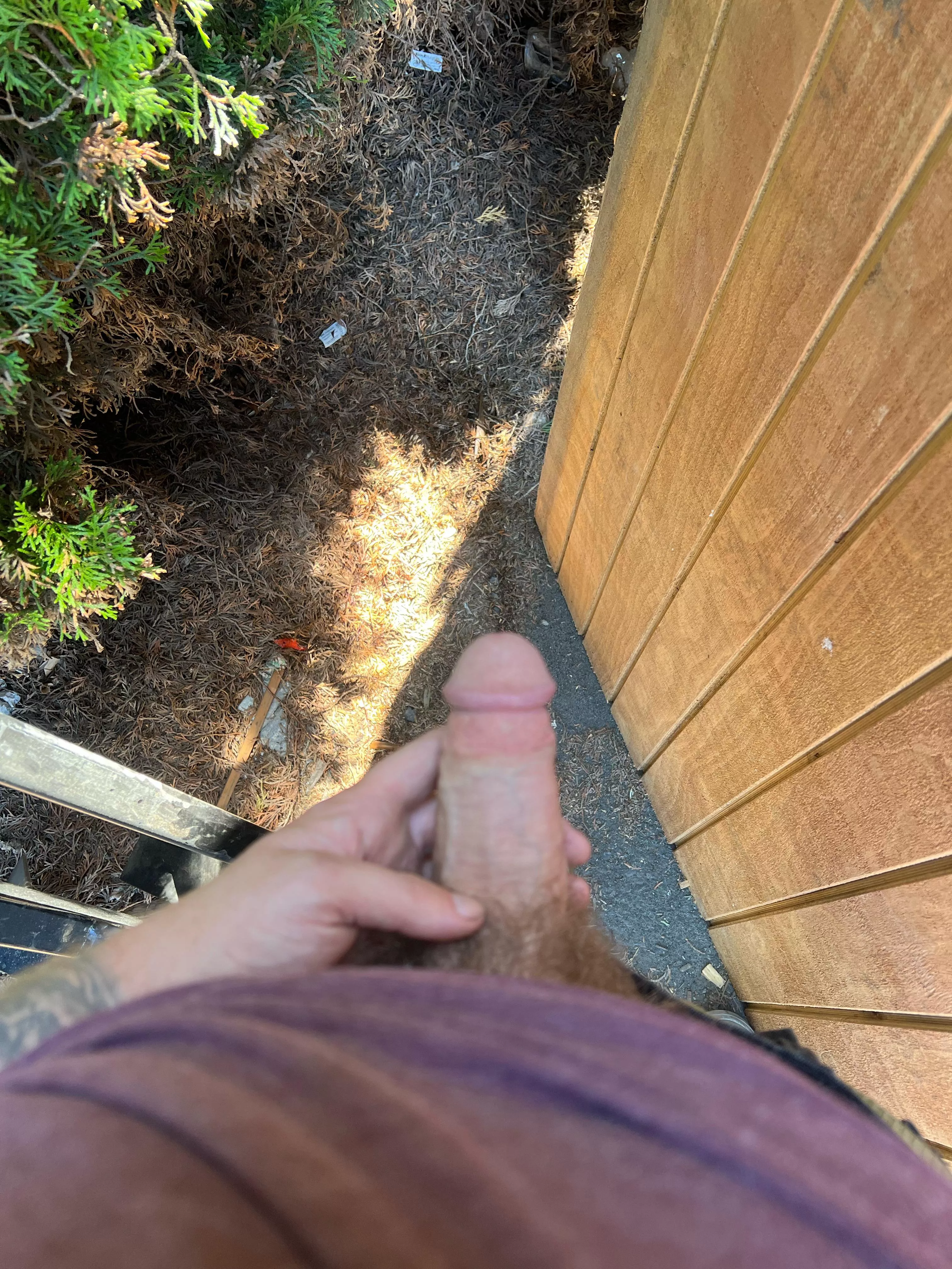 Outside at work with my dick out