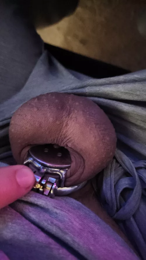 Starting to transition to a flat cage after 4 months in a nub. First time wearing it to work.