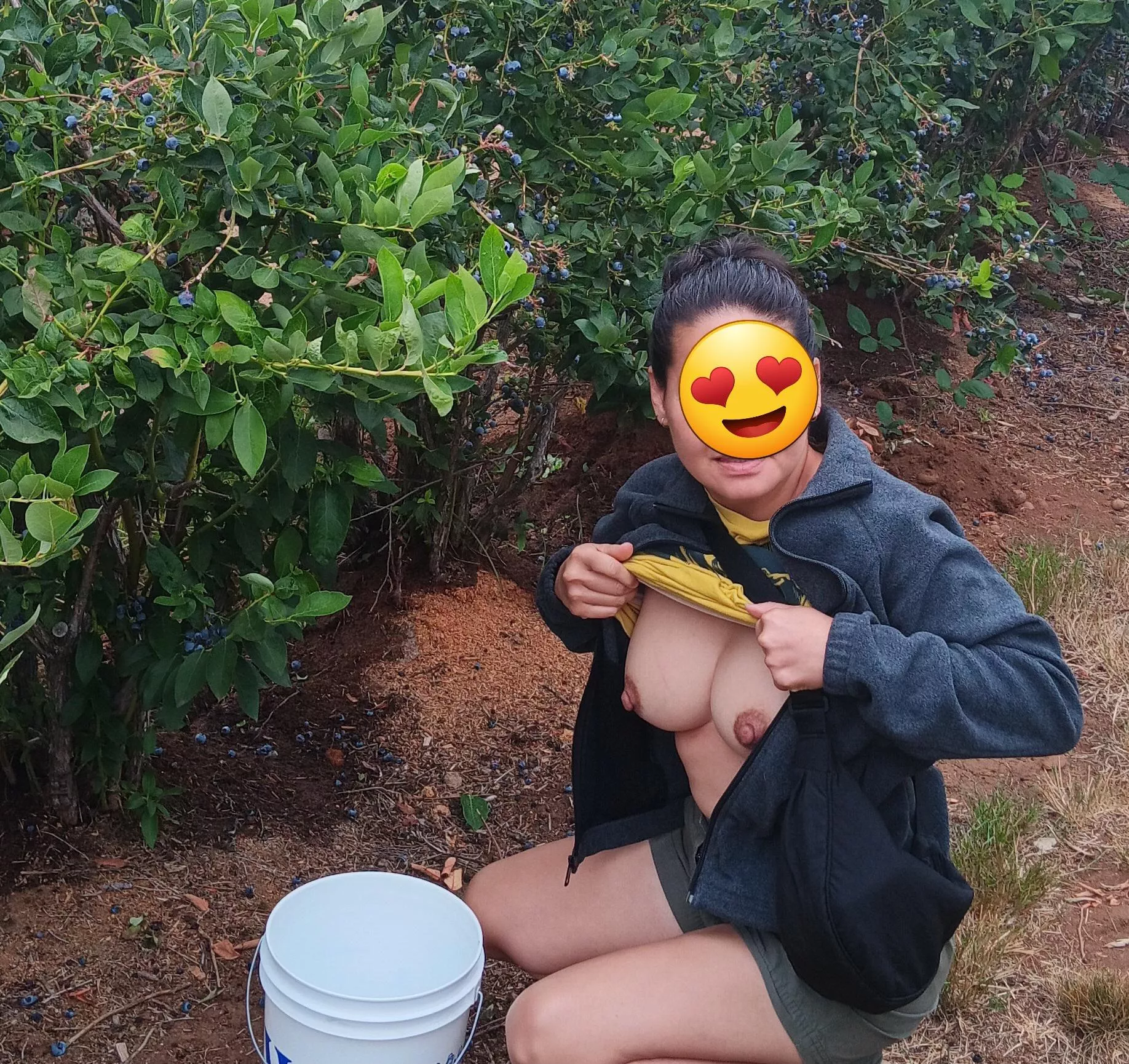 Tits in the blueberry field [f]
