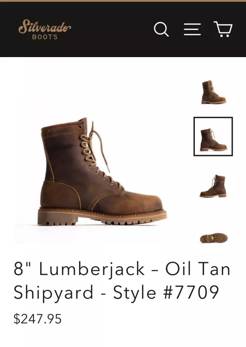 Any suggestions for boots this style in the 0-160$ range?