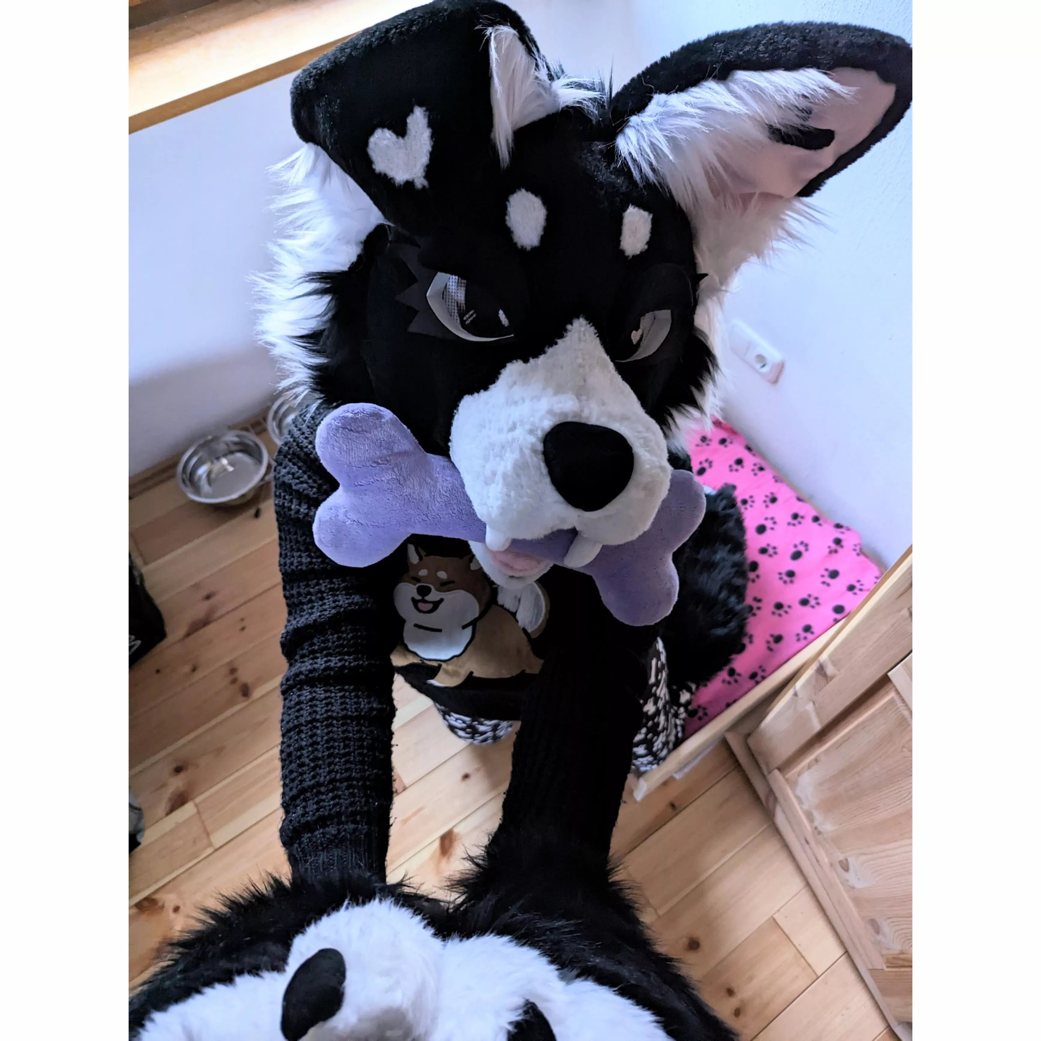 No take!! Only throw.🦴