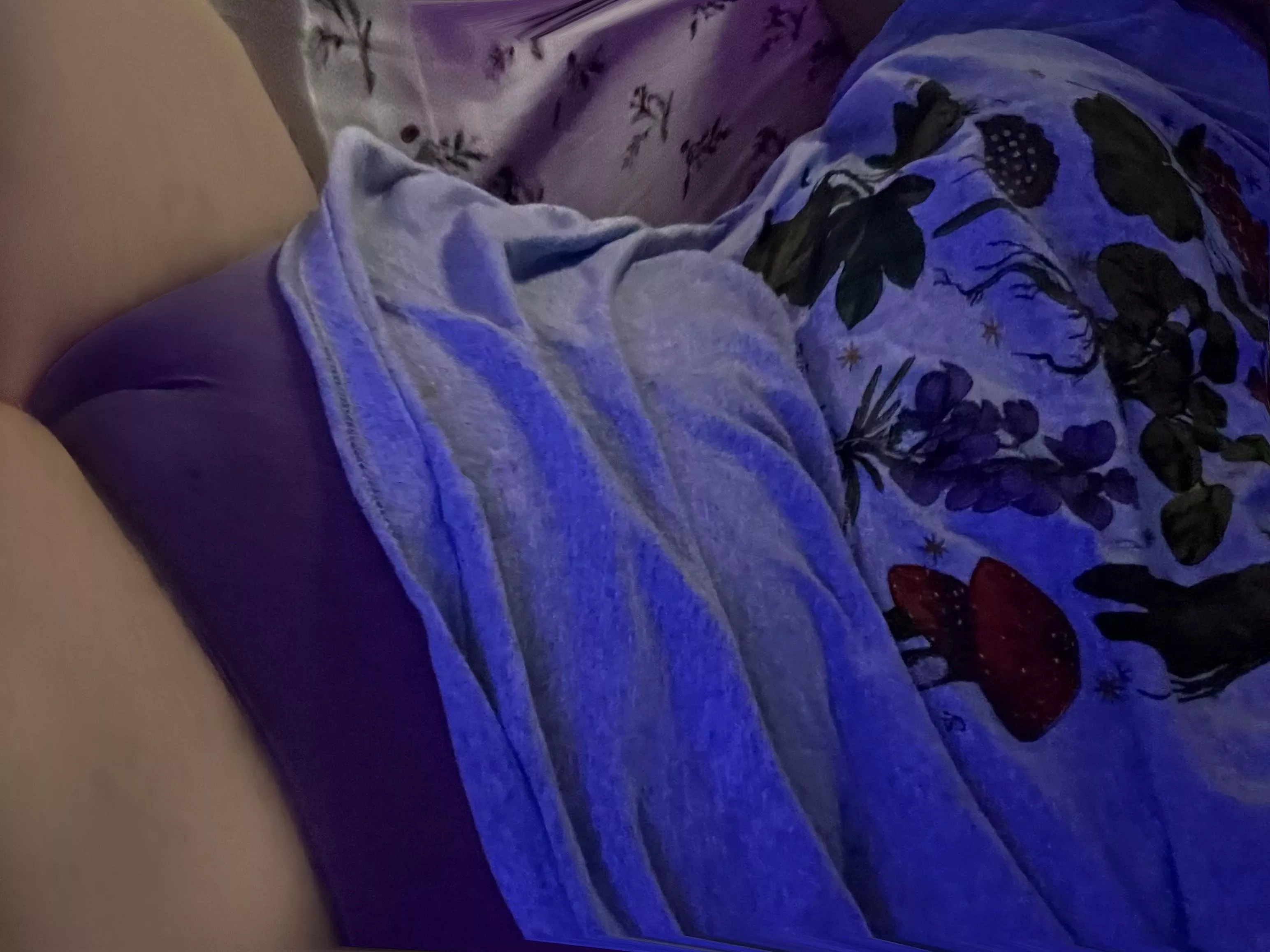 Would anyone wanna play with me? ;) Look at how good I look