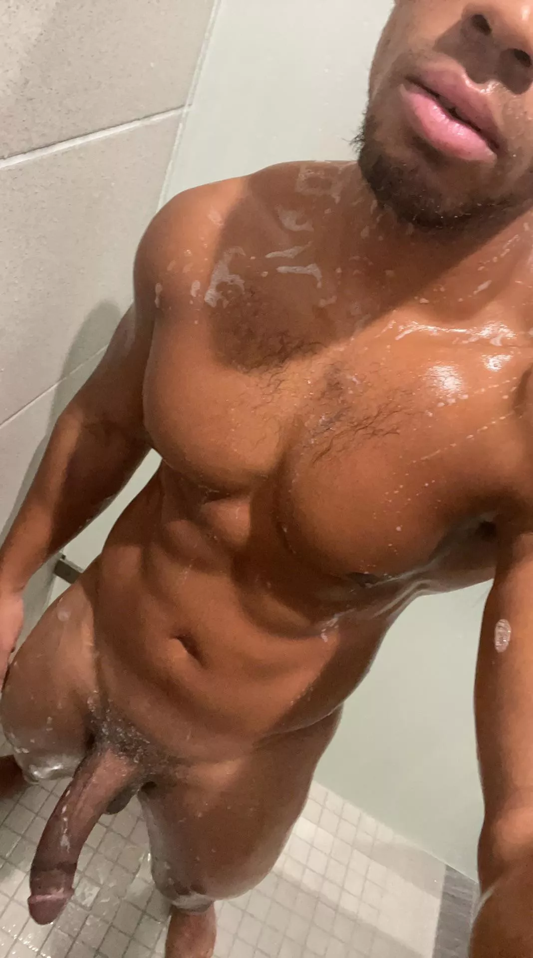 30M Experienced BBC Bull with a lot of stamina and skill