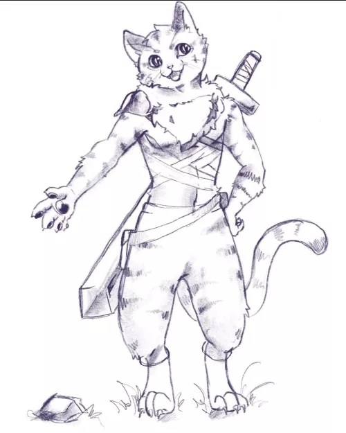 Adventurer cat sketchy! What do you guys think?