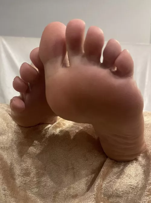 BAM!!! In Your Face With Feet.