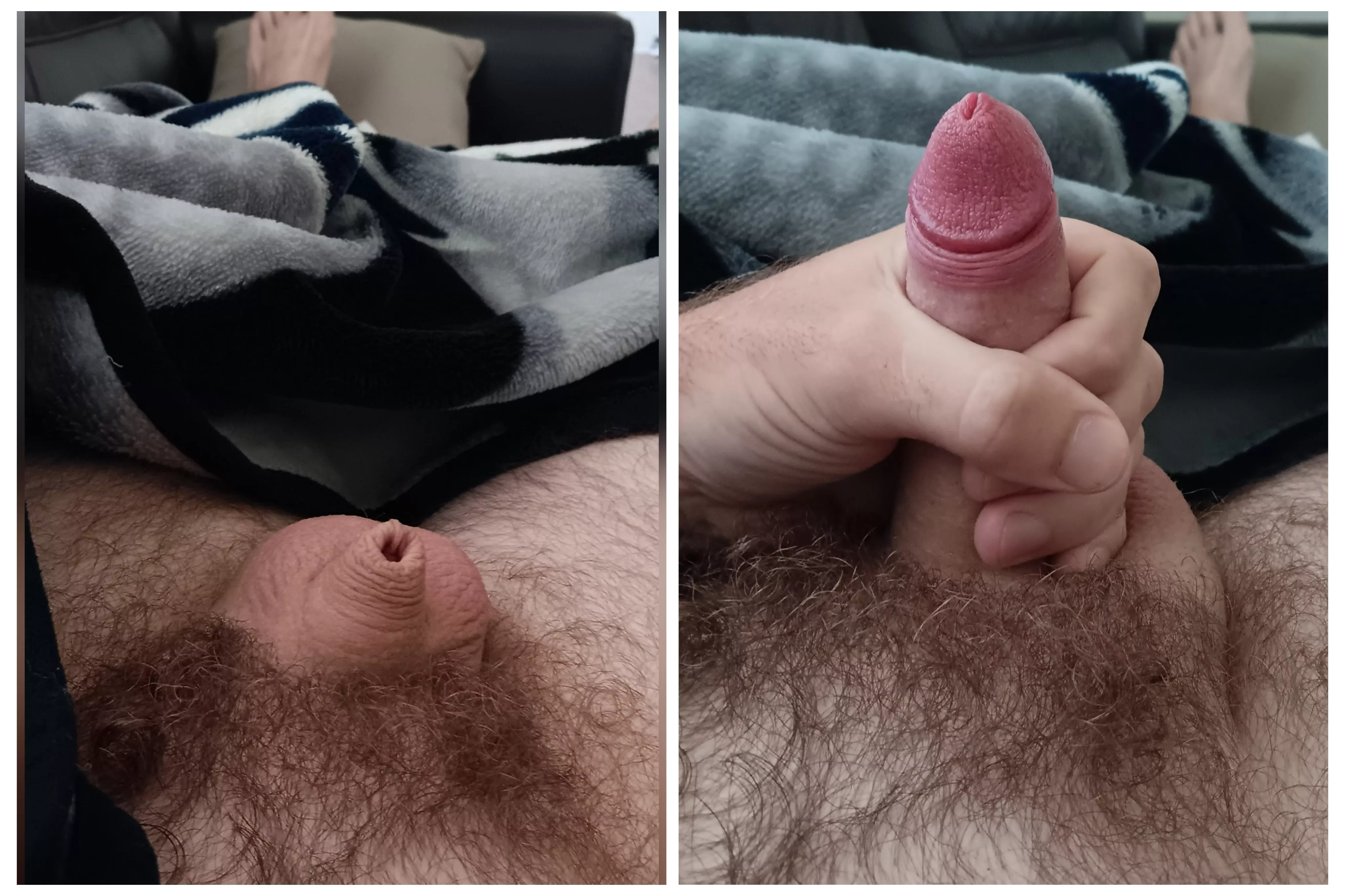 Do I qualify? I have been told before that it grows a lot 😁