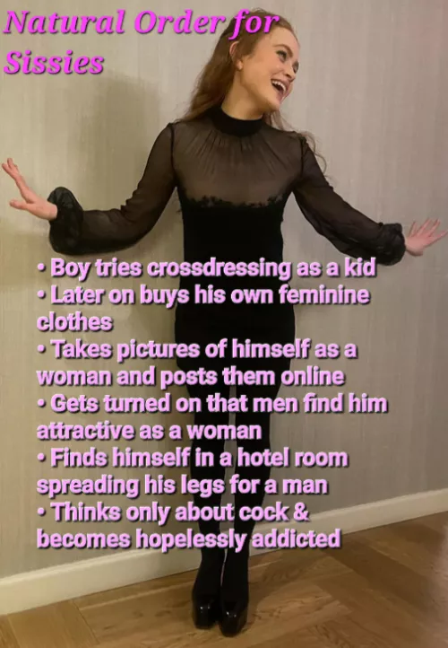 Evolution of a Sissy