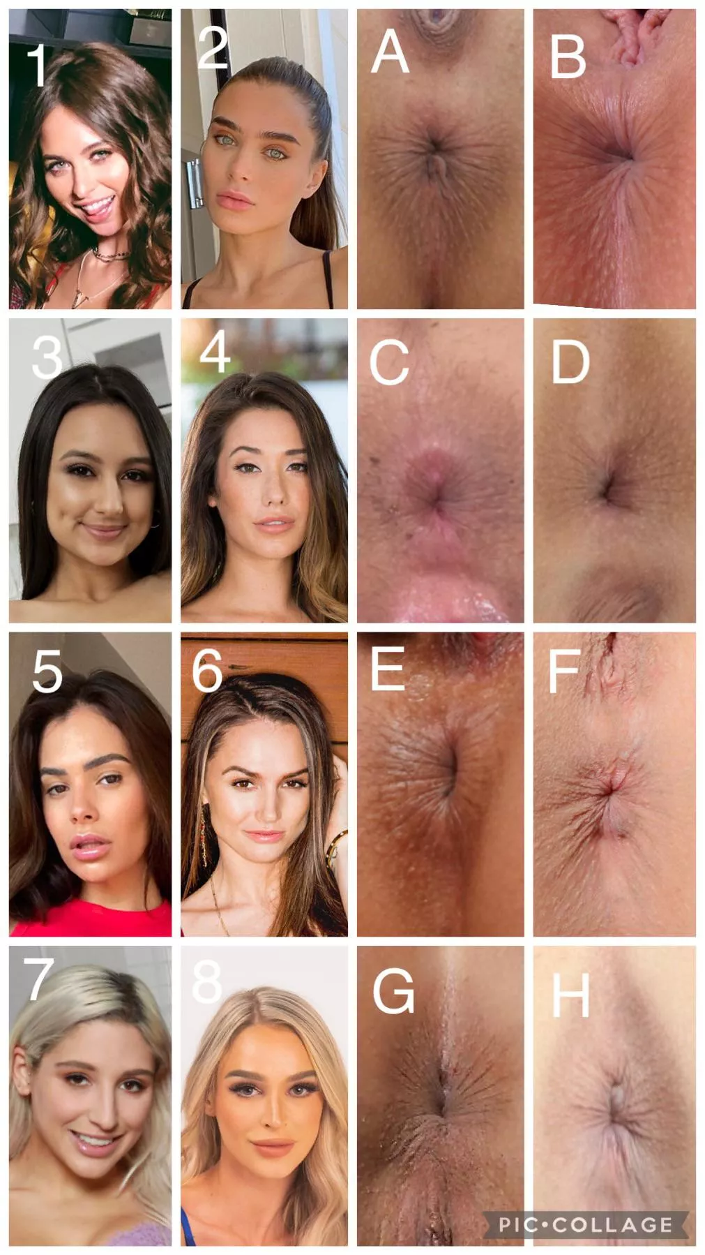 Guess the Asshole Vol. 2