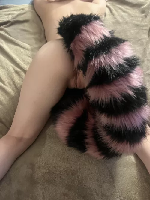 Hope this foxy can help~