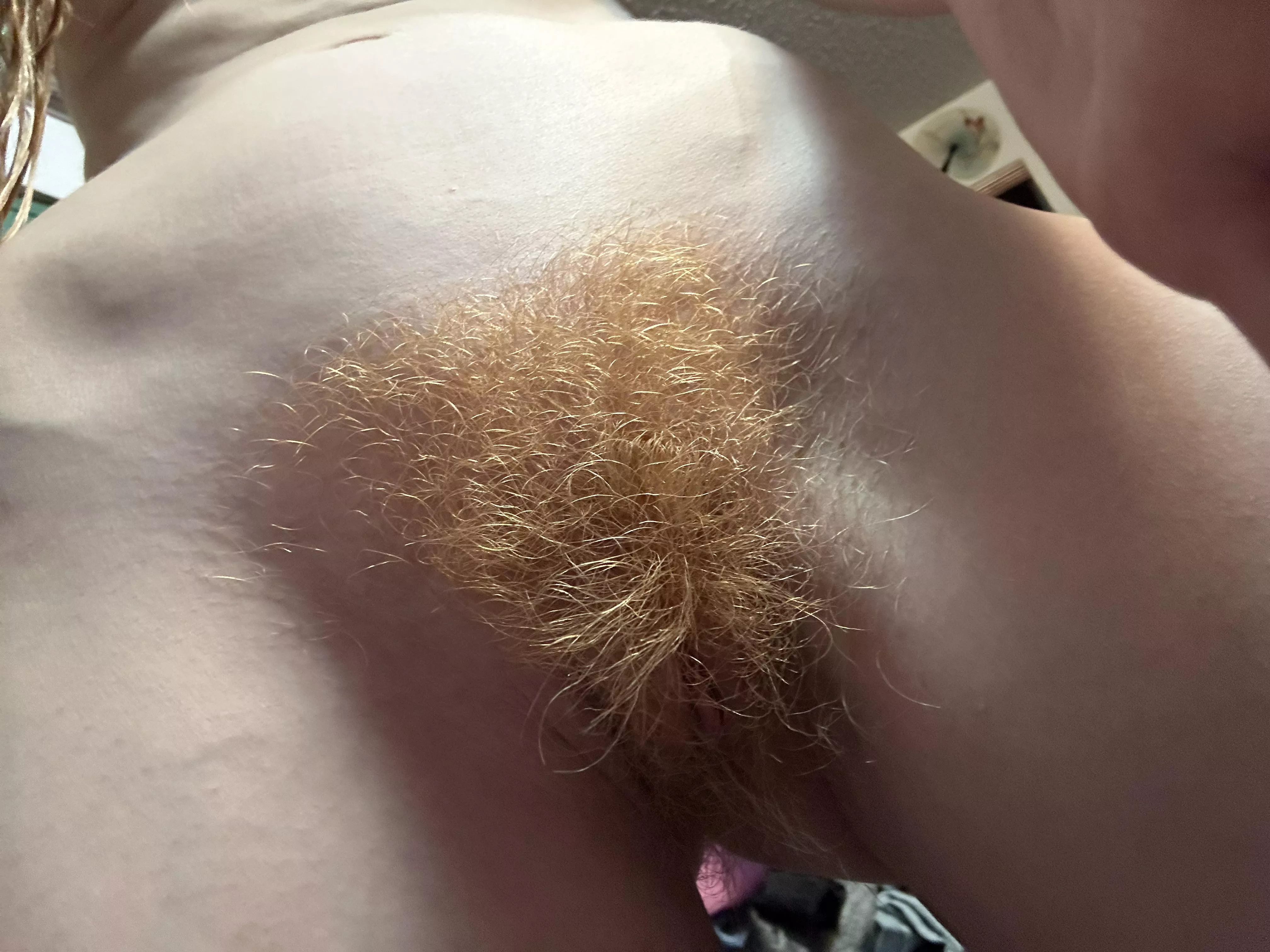 I like my red fur. Do you?