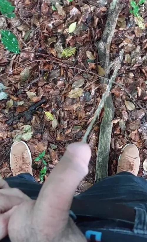 I love to pee and exhib in nature. Or in your dm 💦