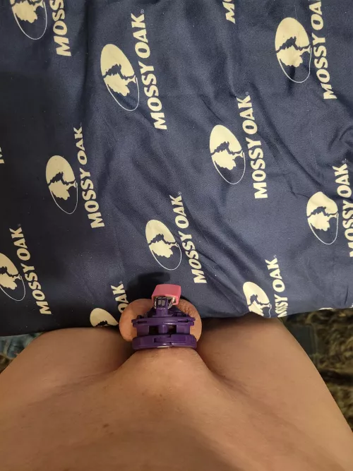 It would surprise the ladys at the college if they knew I was locked in chastity while working construction dont you think?