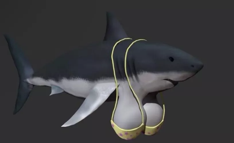 Ladies and gentlemen, I give you… shark tits