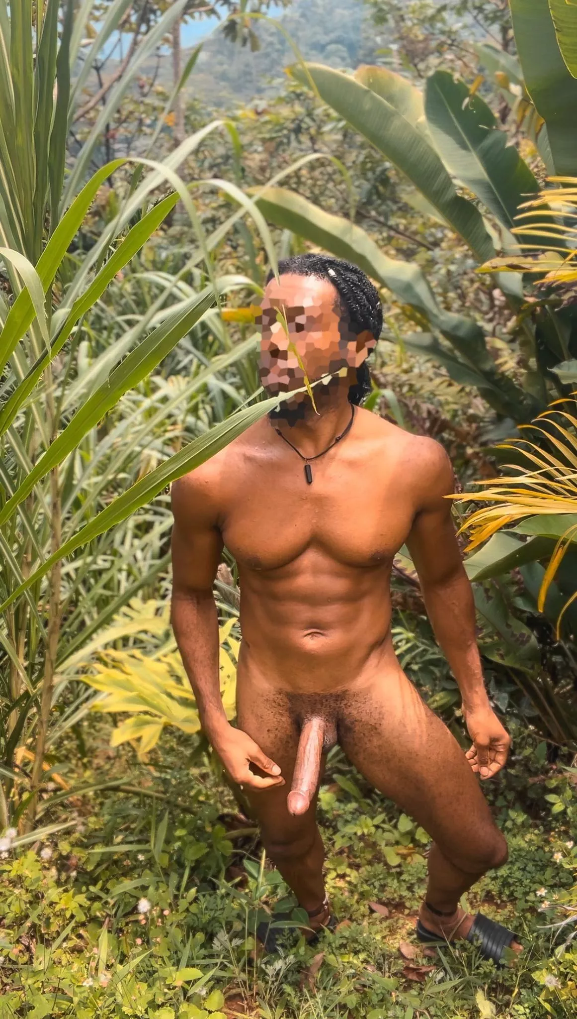 Let’s take a walk in nature