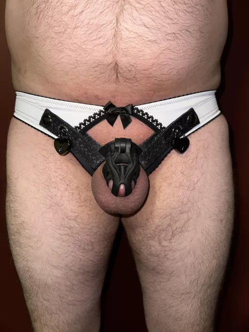 Mistress got me a new strap for my cage. What do y’all think?