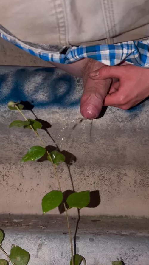 Peeing on a plant while rock hard sitting like a girl.