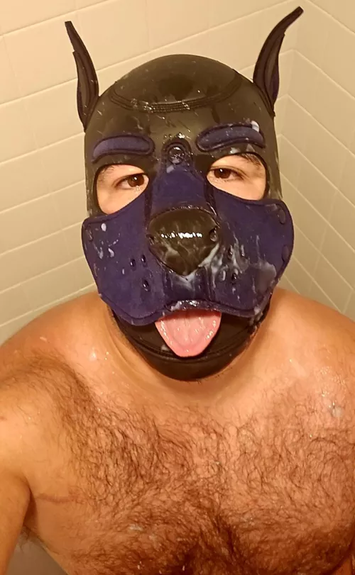 Pup hosted small bukkake